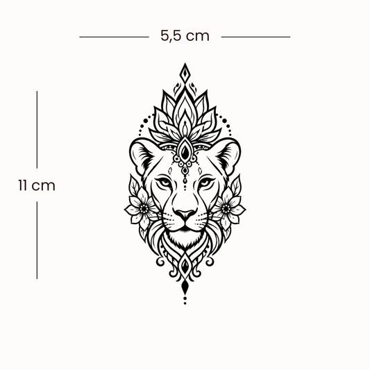 Lioness