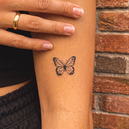 Perfect Butterfly
