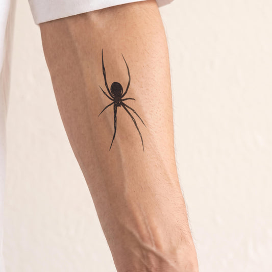 Spider